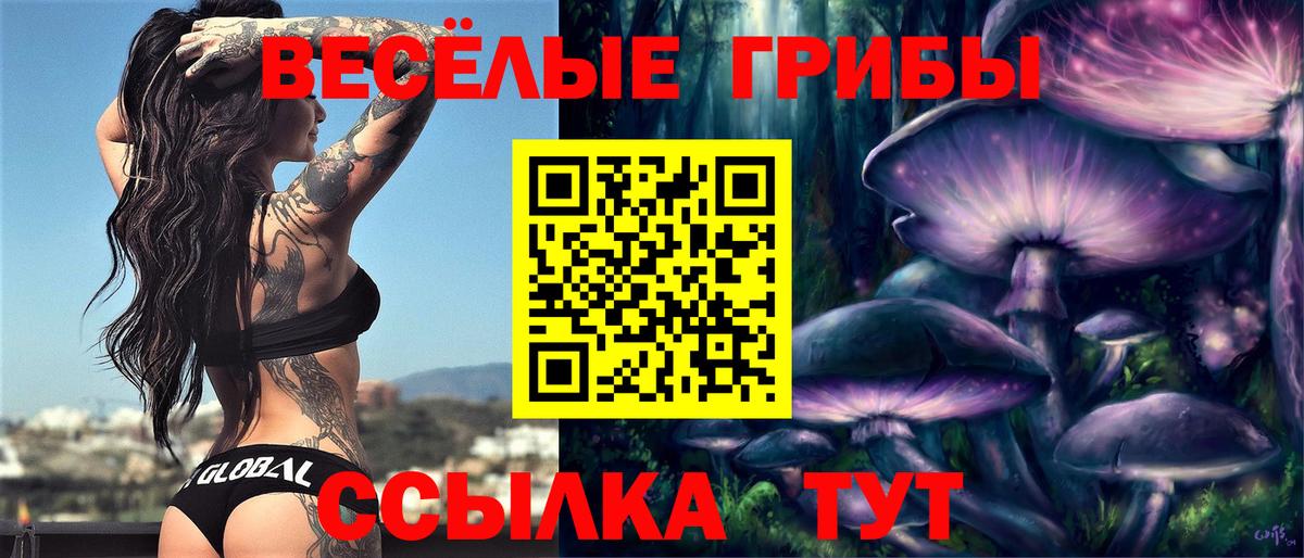 Кизляр  продажа наркотиков  Вход с VPN  Галлюциногенные грибы MAGIC MUSHROOMS 
