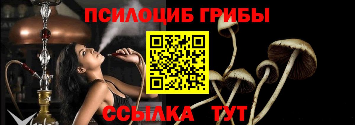 Псилоцибиновые грибы ЛСД Кизляр